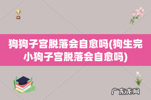 狗生完小狗子宫脱落会自愈吗 狗狗子宫脱落会自愈吗