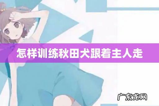 怎样训练秋田犬跟着主人走