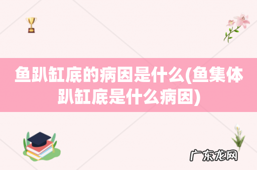 鱼集体趴缸底是什么病因 鱼趴缸底的病因是什么