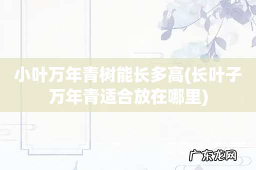 长叶子万年青适合放在哪里 小叶万年青树能长多高