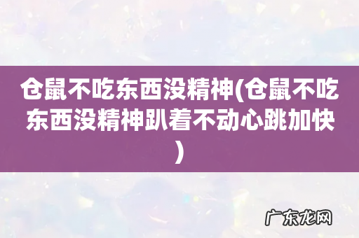 仓鼠不吃东西没精神趴着不动心跳加快 仓鼠不吃东西没精神