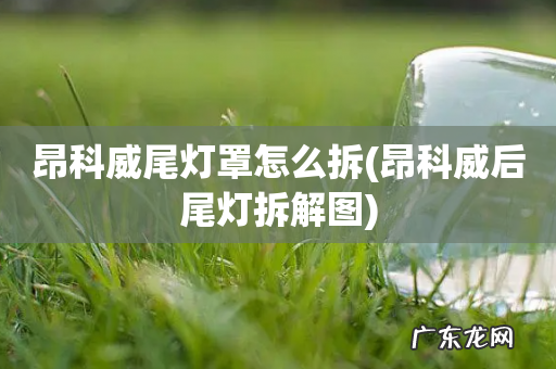 昂科威后尾灯拆解图 昂科威尾灯罩怎么拆