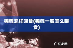 锦鲤一般怎么喂食 锦鲤怎样喂食