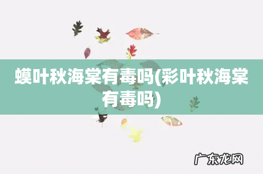 彩叶秋海棠有毒吗 蟆叶秋海棠有毒吗