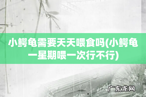 小鳄龟一星期喂一次行不行 小鳄龟需要天天喂食吗