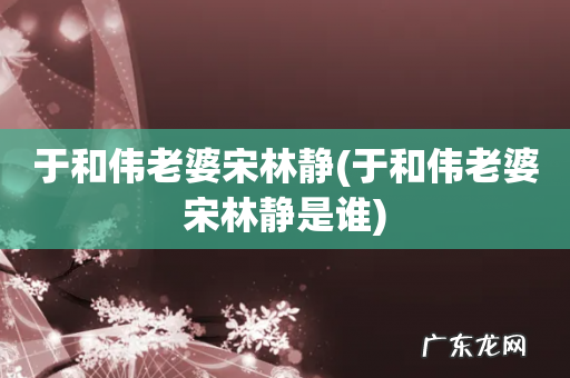 于和伟老婆宋林静是谁 于和伟老婆宋林静