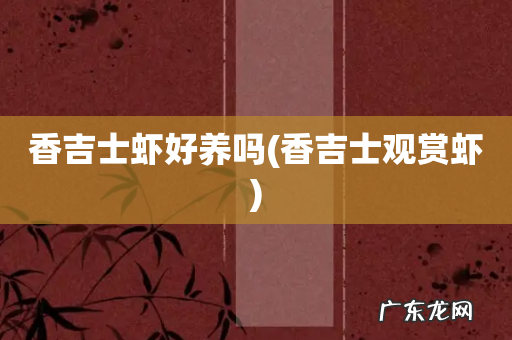 香吉士观赏虾 香吉士虾好养吗