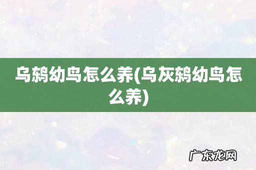 乌灰鸫幼鸟怎么养 乌鸫幼鸟怎么养