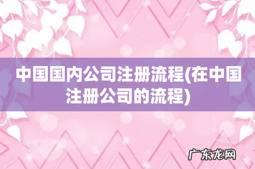在中国注册公司的流程 中国国内公司注册流程