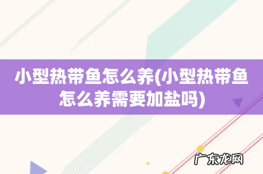 小型热带鱼怎么养需要加盐吗 小型热带鱼怎么养