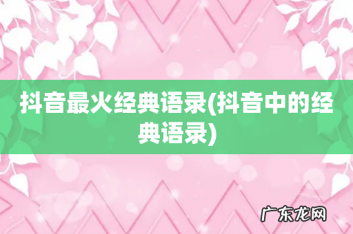 抖音中的经典语录 抖音最火经典语录