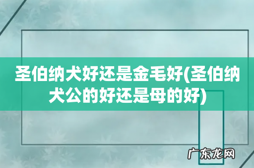 圣伯纳犬公的好还是母的好 圣伯纳犬好还是金毛好