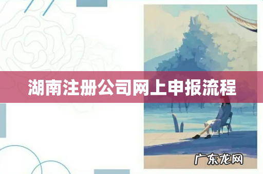 湖南注册公司网上申报流程