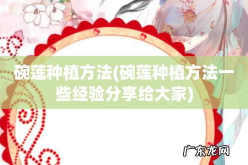 碗莲种植方法一些经验分享给大家 碗莲种植方法