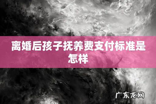 离婚后孩子抚养费支付标准是怎样