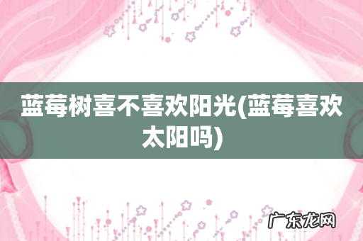 蓝莓喜欢太阳吗 蓝莓树喜不喜欢阳光