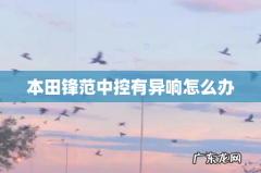 本田锋范中控有异响怎么办
