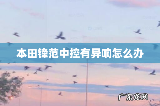 本田锋范中控有异响怎么办