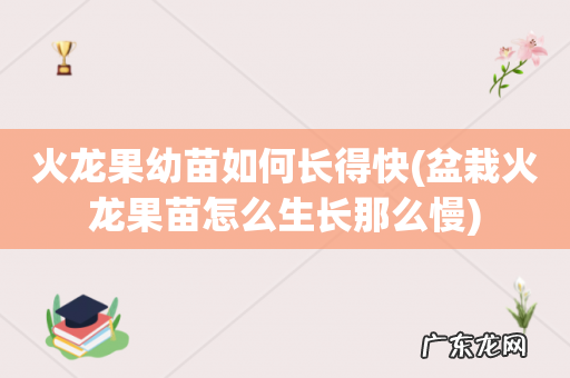 盆栽火龙果苗怎么生长那么慢 火龙果幼苗如何长得快