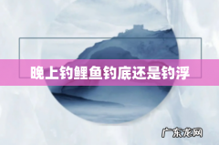 晚上钓鲤鱼钓底还是钓浮