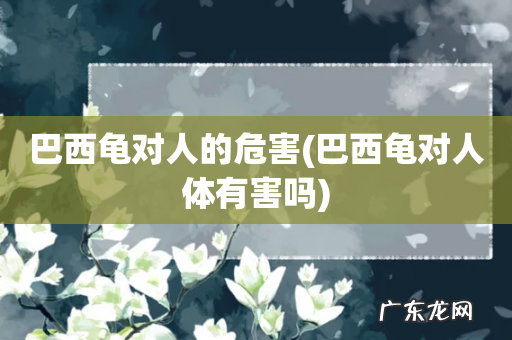 巴西龟对人体有害吗 巴西龟对人的危害