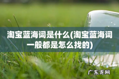 淘宝蓝海词一般都是怎么找的 淘宝蓝海词是什么