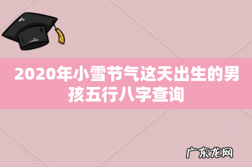 2020年小雪节气这天出生的男孩五行八字查询