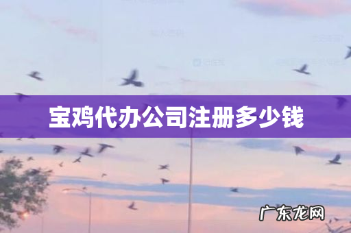 宝鸡代办公司注册多少钱