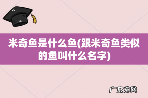 跟米奇鱼类似的鱼叫什么名字 米奇鱼是什么鱼