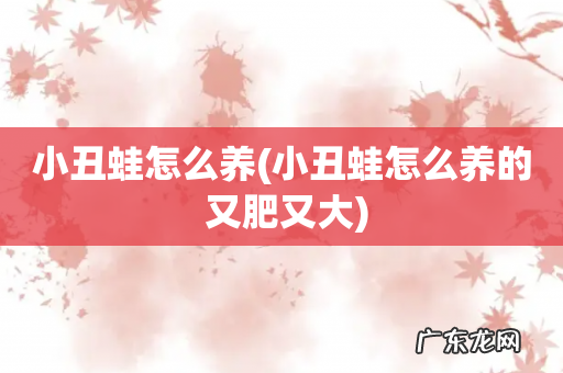 小丑蛙怎么养的 又肥又大 小丑蛙怎么养