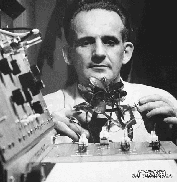 风水玄学 风水玄学是真的吗