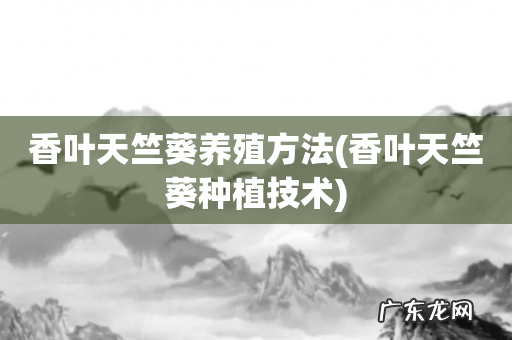 香叶天竺葵种植技术 香叶天竺葵养殖方法
