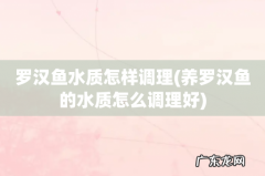 养罗汉鱼的水质怎么调理好 罗汉鱼水质怎样调理