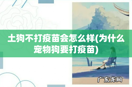 为什么宠物狗要打疫苗 土狗不打疫苗会怎么样