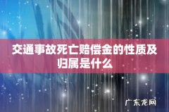 交通事故死亡赔偿金的性质及归属是什么