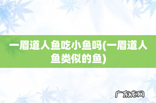 一眉道人鱼类似的鱼 一眉道人鱼吃小鱼吗