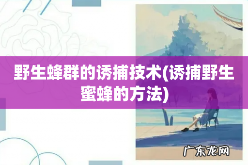 诱捕野生蜜蜂的方法 野生蜂群的诱捕技术