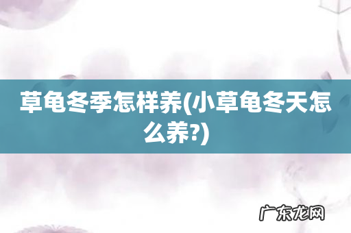 小草龟冬天怎么养? 草龟冬季怎样养