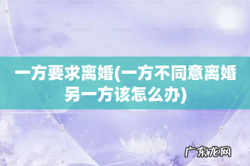 一方不同意离婚另一方该怎么办 一方要求离婚