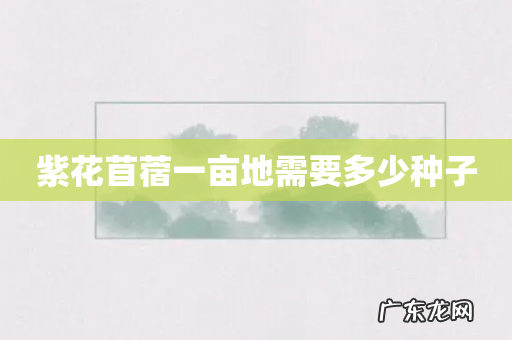 紫花苜蓿一亩地需要多少种子