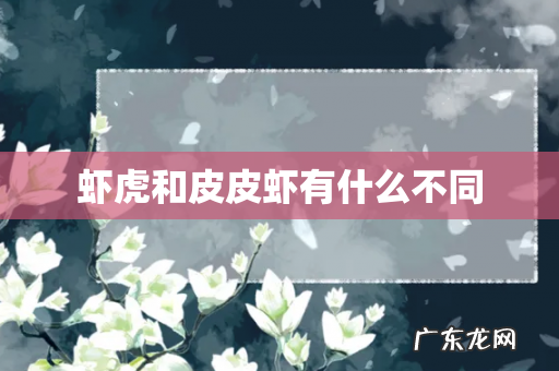 虾虎和皮皮虾有什么不同