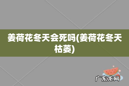 姜荷花冬天枯萎 姜荷花冬天会死吗