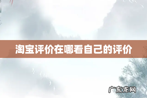 淘宝评价在哪看自己的评价