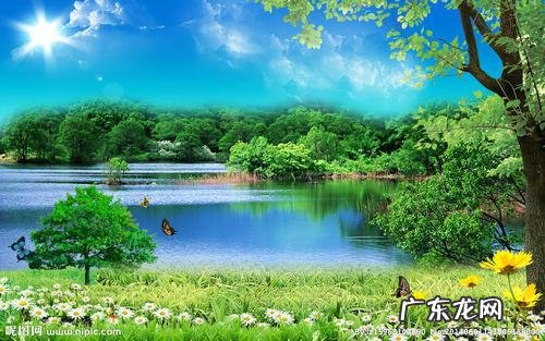 日文pdf翻译 日本语日语翻译