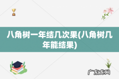 八角树几年能结果 八角树一年结几次果