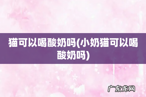 小奶猫可以喝酸奶吗 猫可以喝酸奶吗