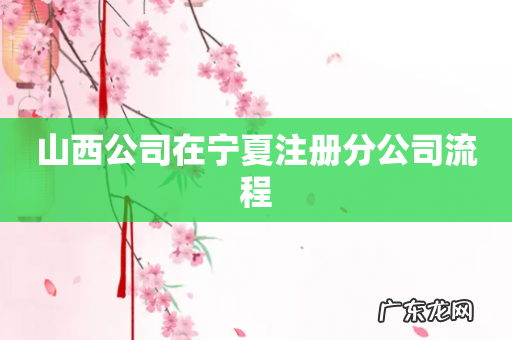 山西公司在宁夏注册分公司流程