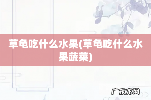 草龟吃什么水果蔬菜 草龟吃什么水果