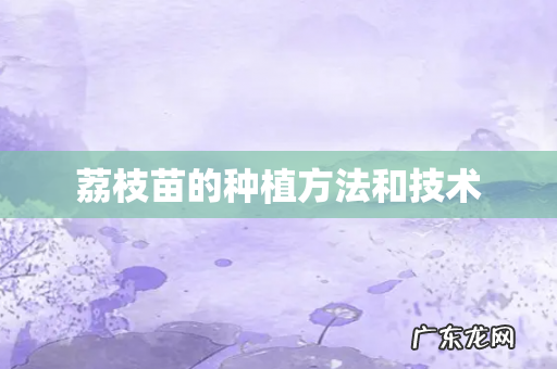 荔枝苗的种植方法和技术