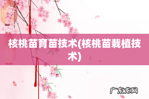 核桃苗栽植技术 核桃苗育苗技术